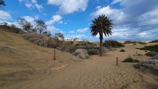 2023-GC--Mapalomas dunas-S123-061.jpg
